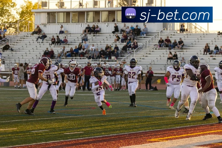 四季betAPP 封面图